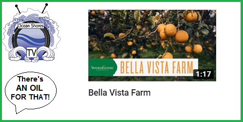 bella vista farm