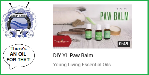 paw balm