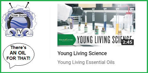 yl science