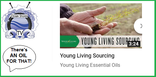 yl sourcing